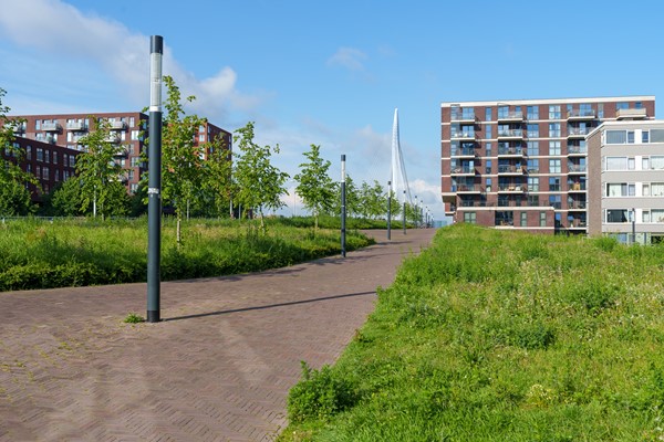 Medium property photo - Auriollaan 36, 3527 EV Utrecht